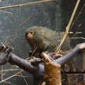 DSC00920
